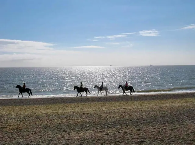 Balade à cheval de 2 heures à Hurghada — photo 3