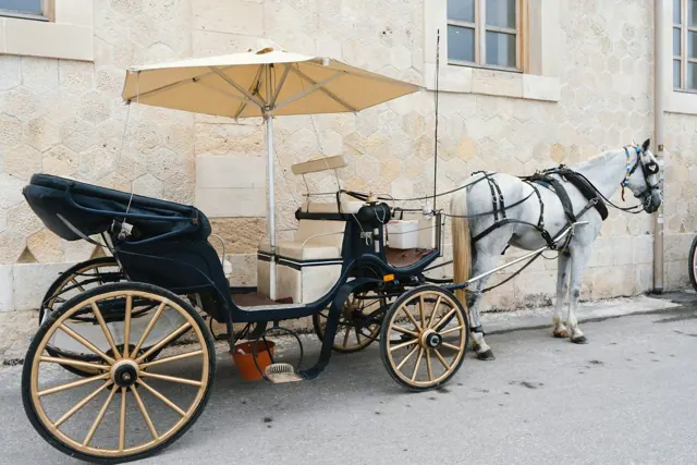 Balade en calèche