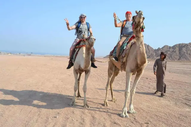 Balade en chameau 2h à Hurghada — photo 2
