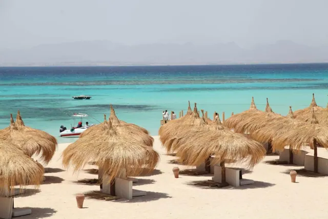 Must-do trips