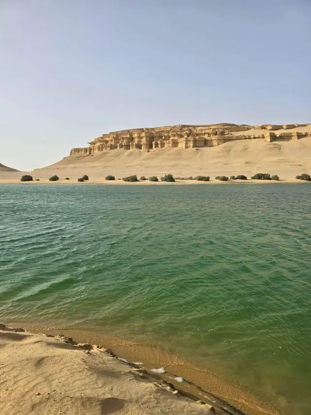 Fayoum 2 Days 1 Night in Fayoum — photo 2