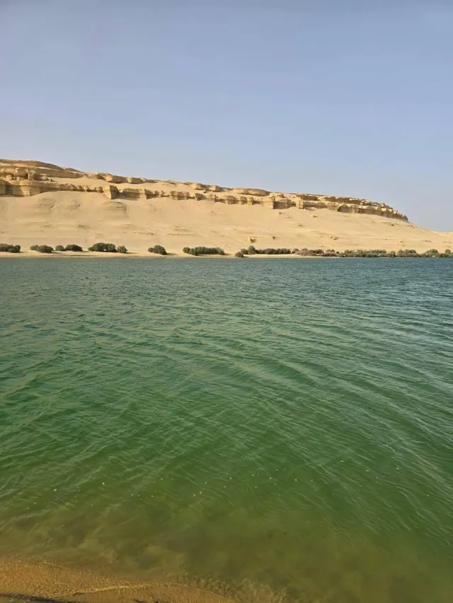 Fayoum 2 Days 1 Night in Fayoum — photo 4