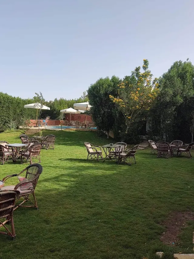 Fayoum 2 Days 1 Night in Fayoum — photo 5