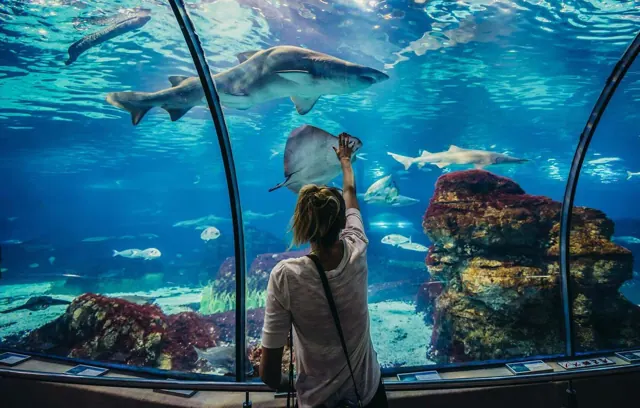 Grand Aquarium Hurghada