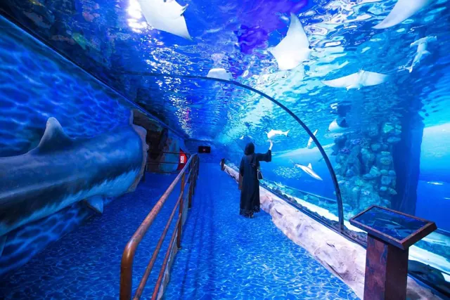 Grand Aquarium Hurghada à Hurghada — photo 3
