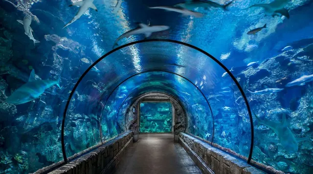 Grand Aquarium Hurghada à Hurghada — photo 4