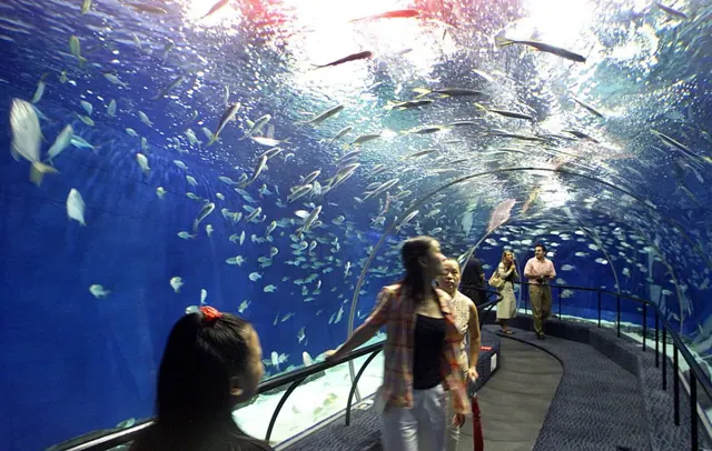 Grand Aquarium Hurghada à Hurghada — photo 5