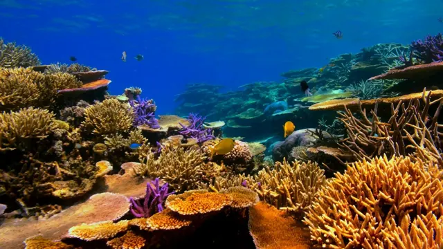 Que faire à Hurghada ? Les 20 meilleures activités et excursions