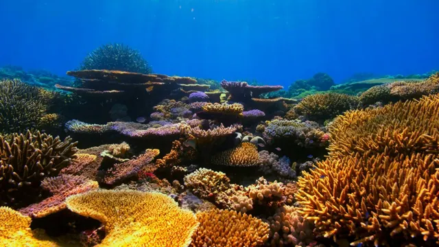 île Ozirea à Hurghada — photo 3