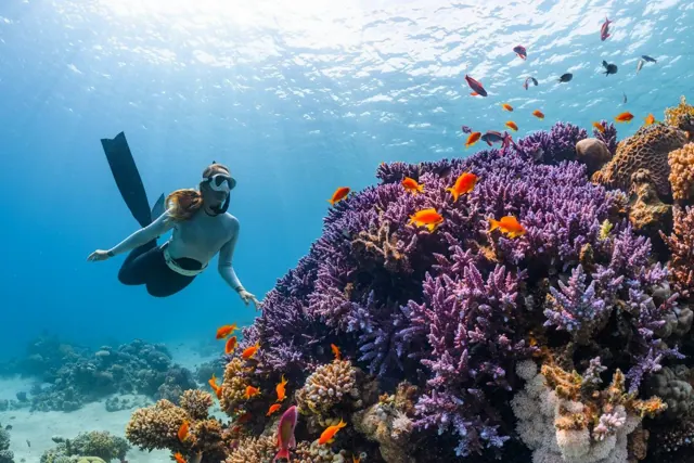 Île + Plongée à Hurghada — photo 4