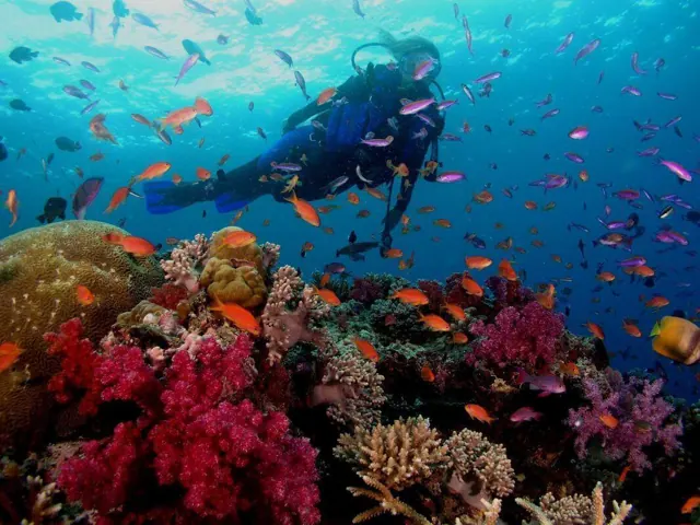 Journée plongée sous-marine à Hurghada — photo 3