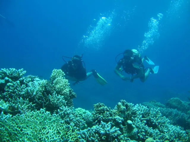 Journée plongée sous-marine à Hurghada — photo 4