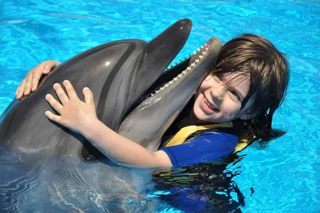 Nager avec les dauphins