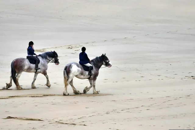 Safari cheval à Hurghada — photo 4