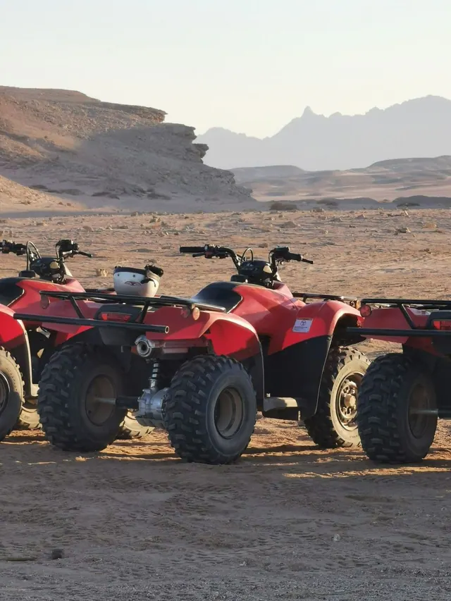 Safari combiné à Hurghada — photo 2