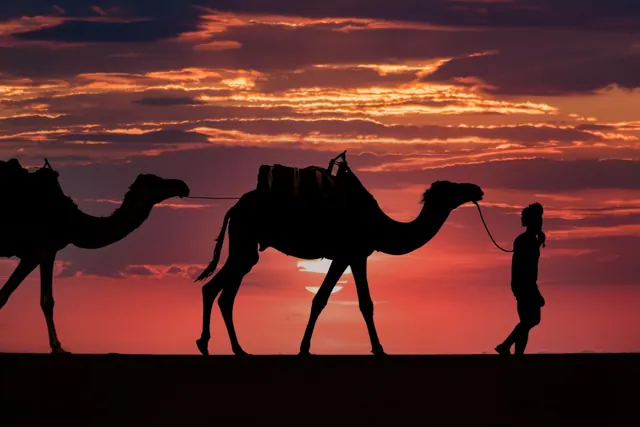 Safari combiné à Hurghada — photo 4