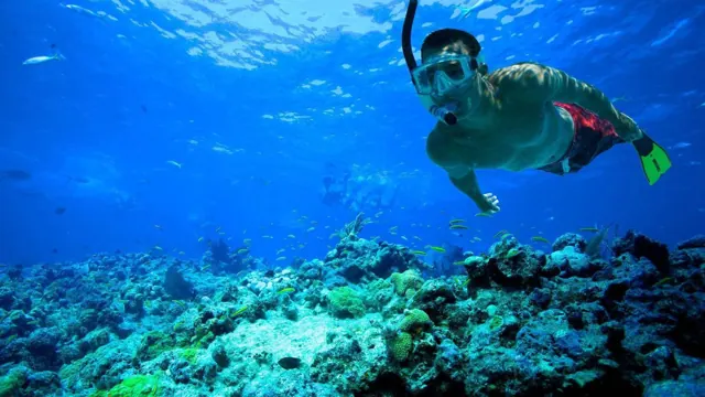 semi-sous-marin et snorkeling à Hurghada — photo 3