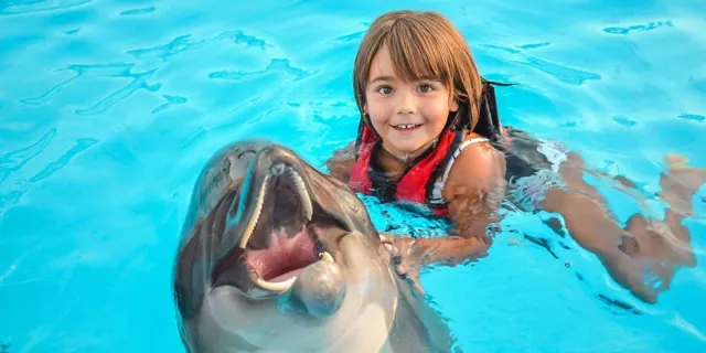 Shooting avec les dauphins